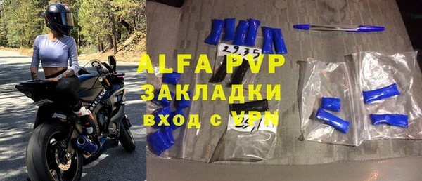 молекула духа Болотное