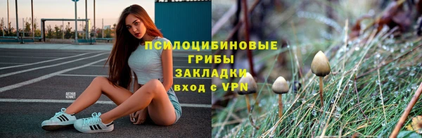 трава Болохово