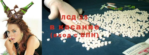 дживик Билибино