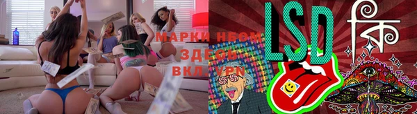 молекула духа Болотное