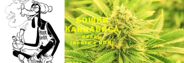 молекула духа Болотное