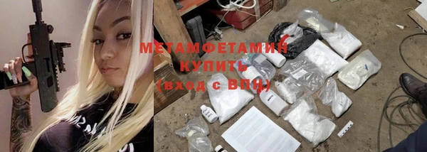 молекула духа Болотное