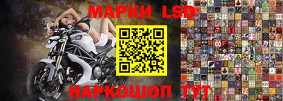 кокс Кандалакша