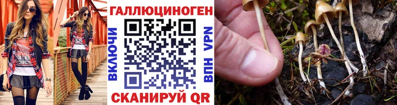 Галлюциногенные грибы мицелий  Истра 