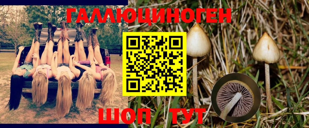 Псилоцибиновые грибы Magic Shrooms Истра