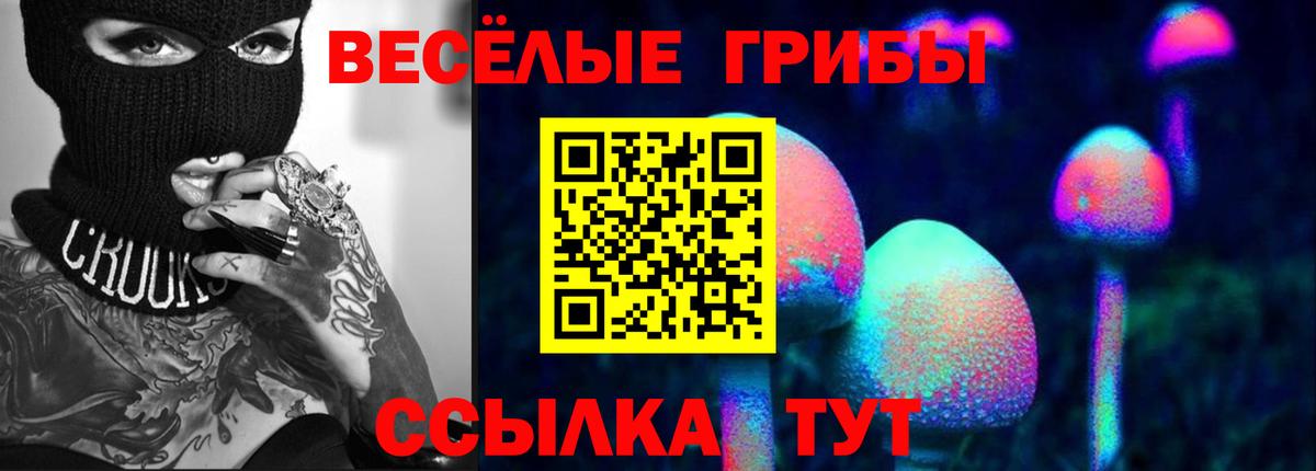 Псилоцибиновые грибы Psilocybine cubensis  Истра 