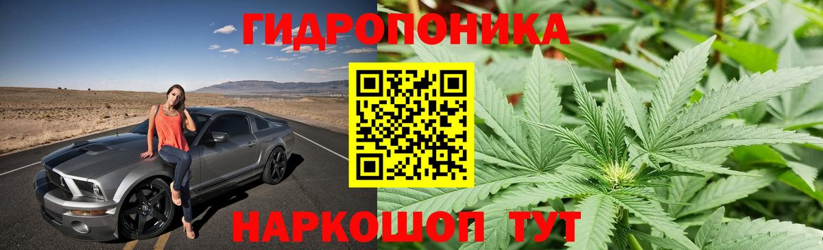 Истра  Шишки марихуана конопля  Канабис MAZAR  Шишки марихуана Amnesia  Вход с VPN 
